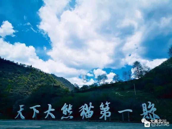 成都和重庆相比，哪座城市的综合竞争力更强？