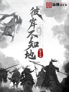 荣耀Magic6系列线下上手:标准版和Pro版,选择纠结了