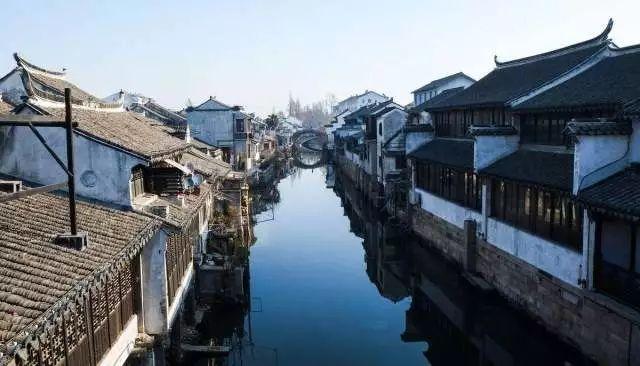 清炒空心菜怎么做比较好吃？游戏画面