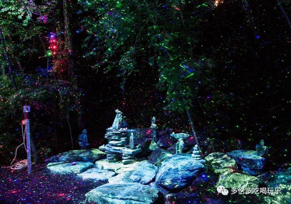 探索天涯,畅聊问答——闻泰科技是国企还是私企?交流平台
